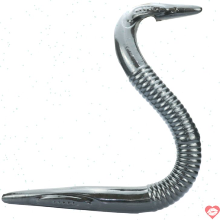 Moray 76cm double head xám khổng lồ điên cuồng 