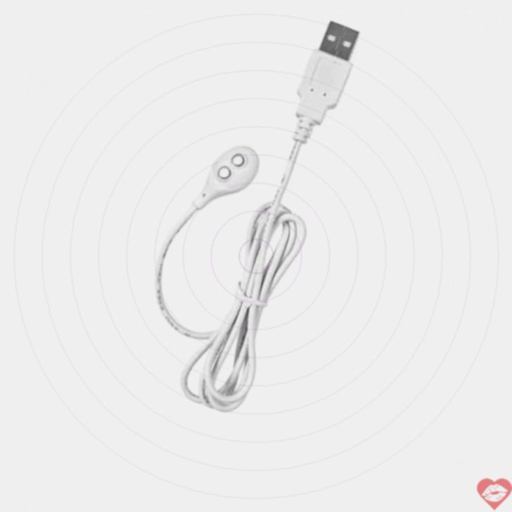 Cáp Sạc Lovense Max Nora Từ Tính Nhanh
