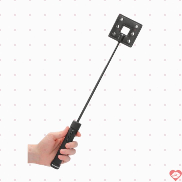 ElectroShock Roi Điện Sạc Đánh Kích Thích BDSM 