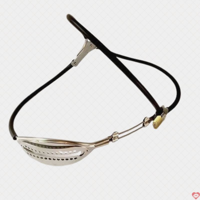 Quần Lót Bạo Dâm Thép Không Gỉ Độc Đáo Kích Thích 