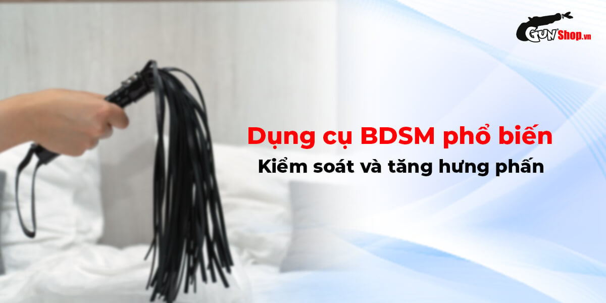 Review Roi da BDSM Chisa Behave! Luxury Fetish Pleasure Whip  có tốt không?