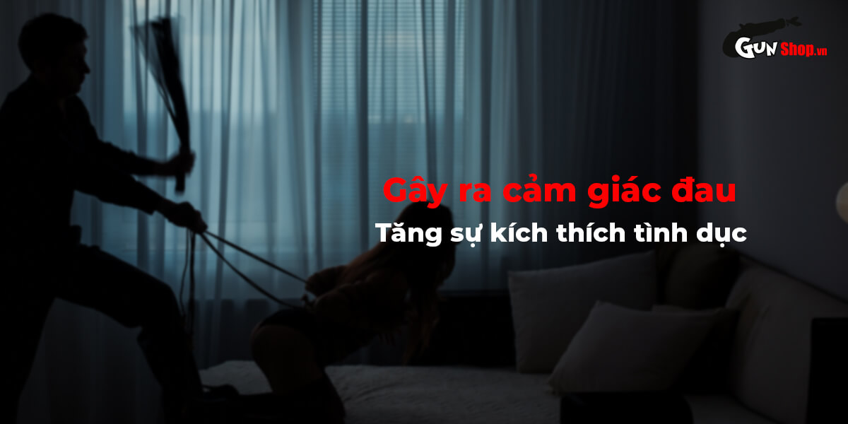 Review Roi da BDSM Chisa Behave! Luxury Fetish Pleasure Whip  có tốt không?
