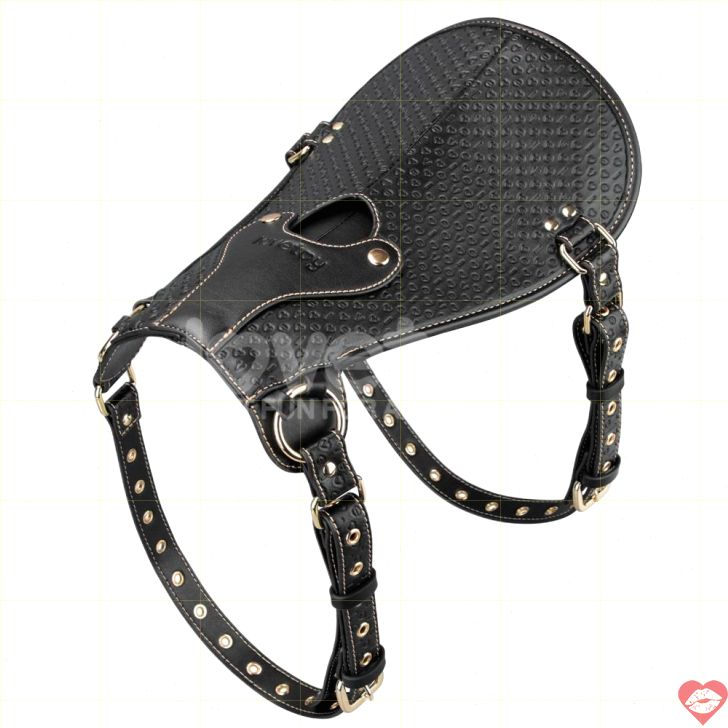 Đệm yên dương vật Lovetoy Rebellion Đen 31.5cm