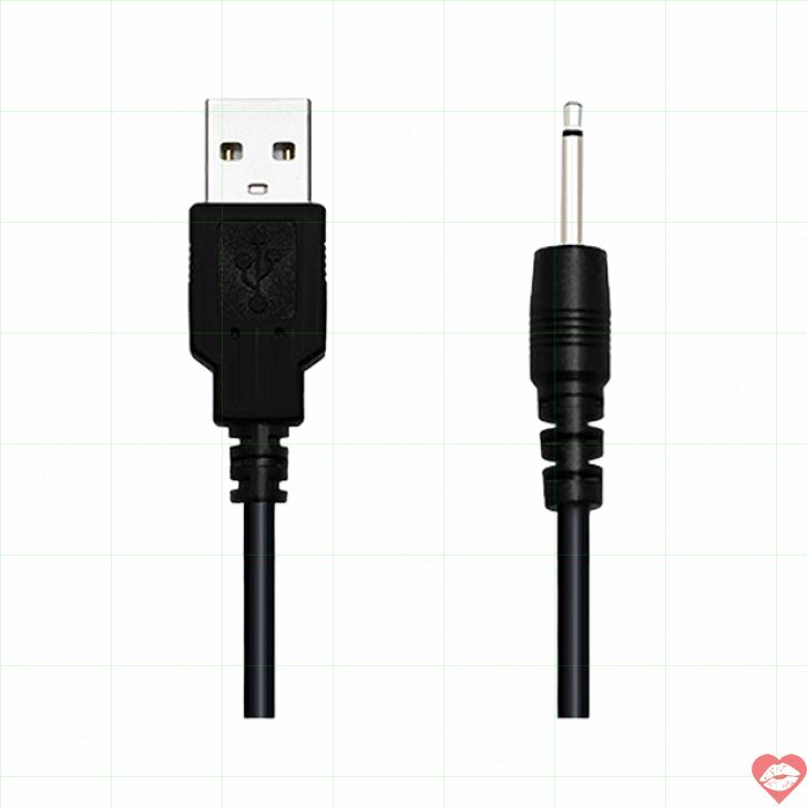 Dây Sạc Lovense Chính Hãng Bền Lâu 
