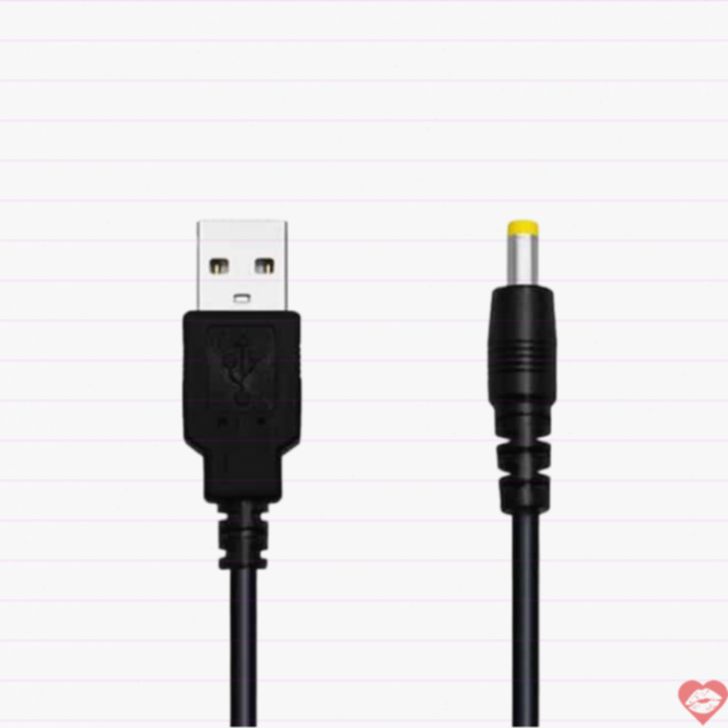 Cáp Sạc Lovense Domi 2 USB Đen Chính Hãng