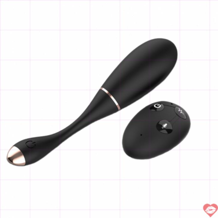 NV Toys Lota egg vibe remote 10 mode